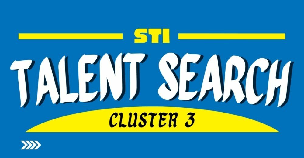 Sample pageant banner