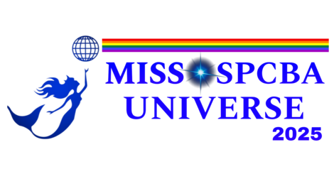 Msulogo2025