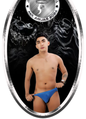Prince ace