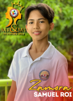 Mr and ms math camp.zip   59