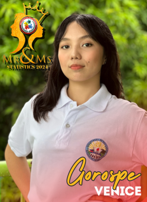 Mr and ms math camp.zip   64