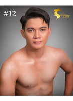 A12