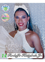 Final14