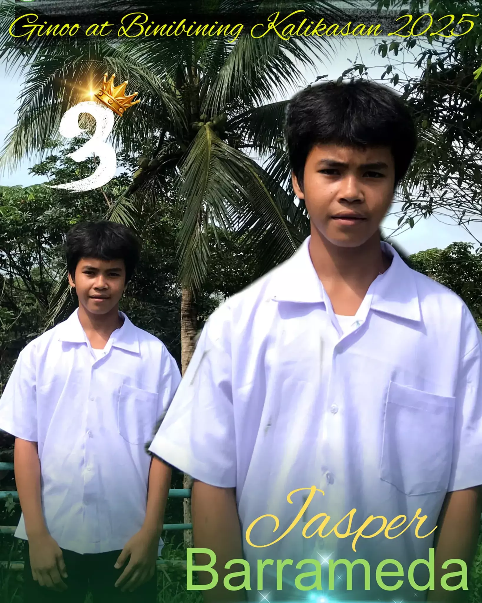 A3