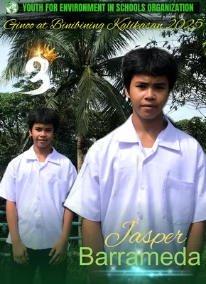 A3