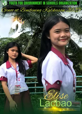 F2