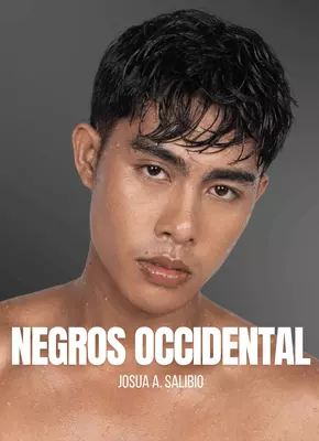 11 negros occidental