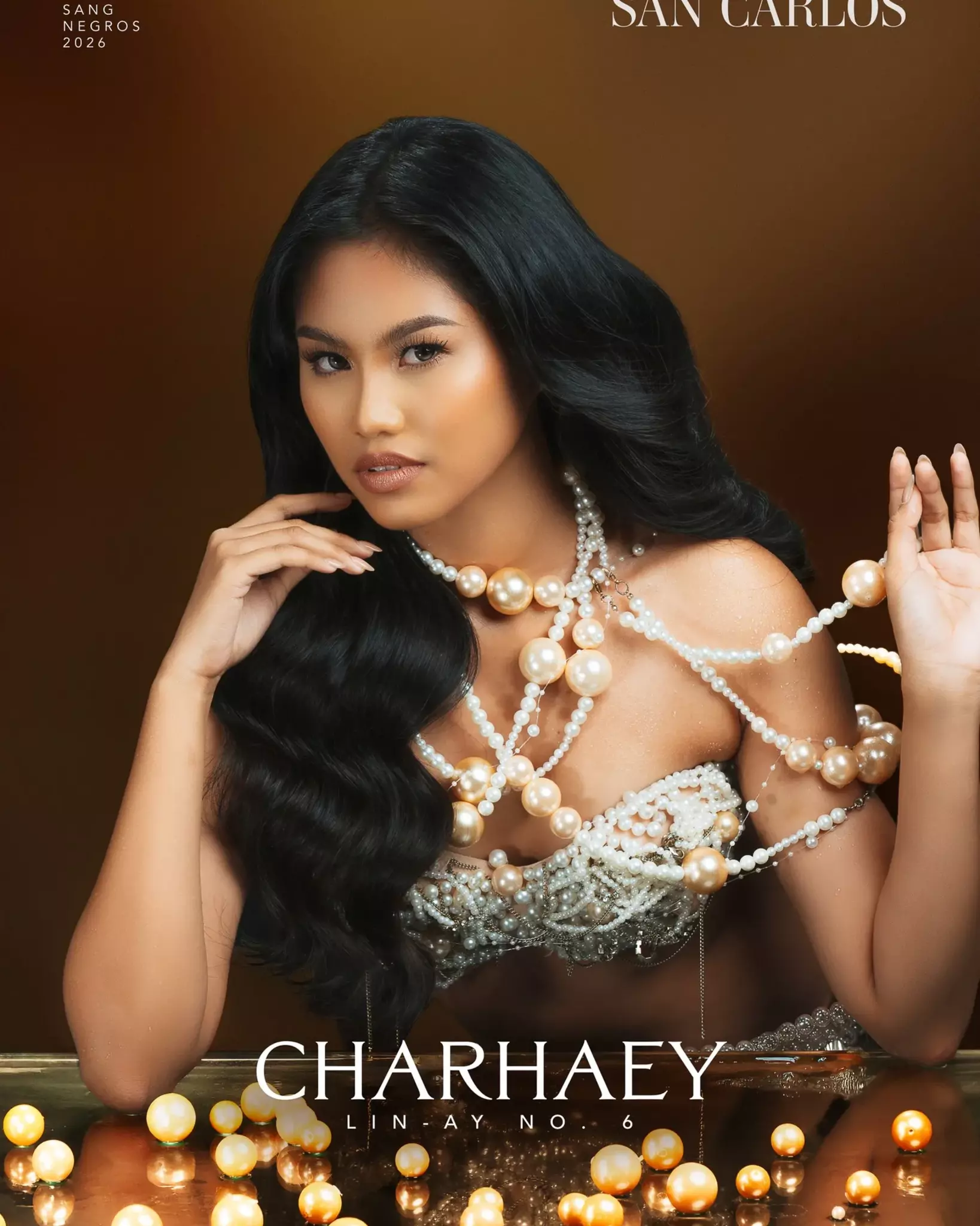 6 charhaey   san carlos city