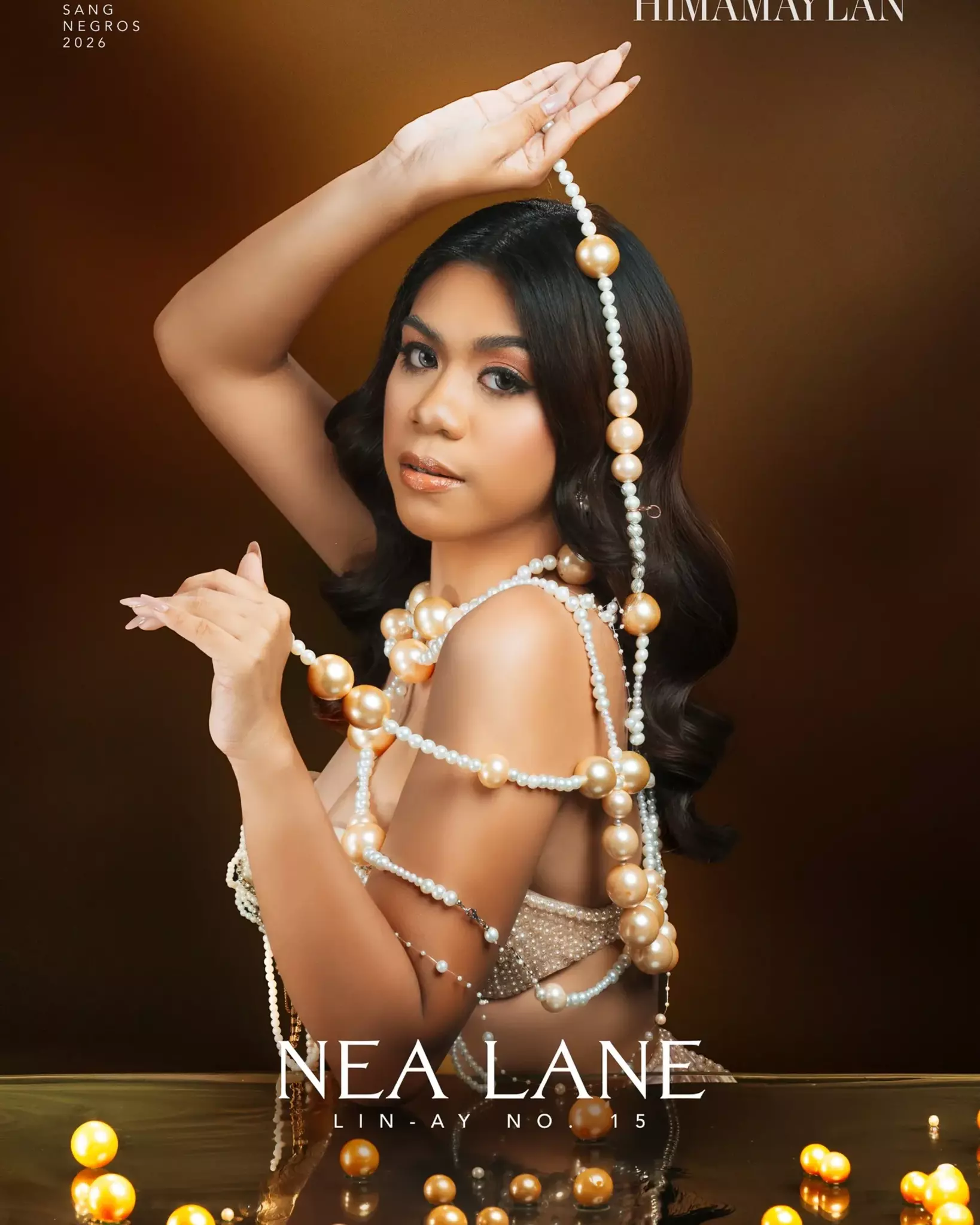 15 nea lane   himamaylan city