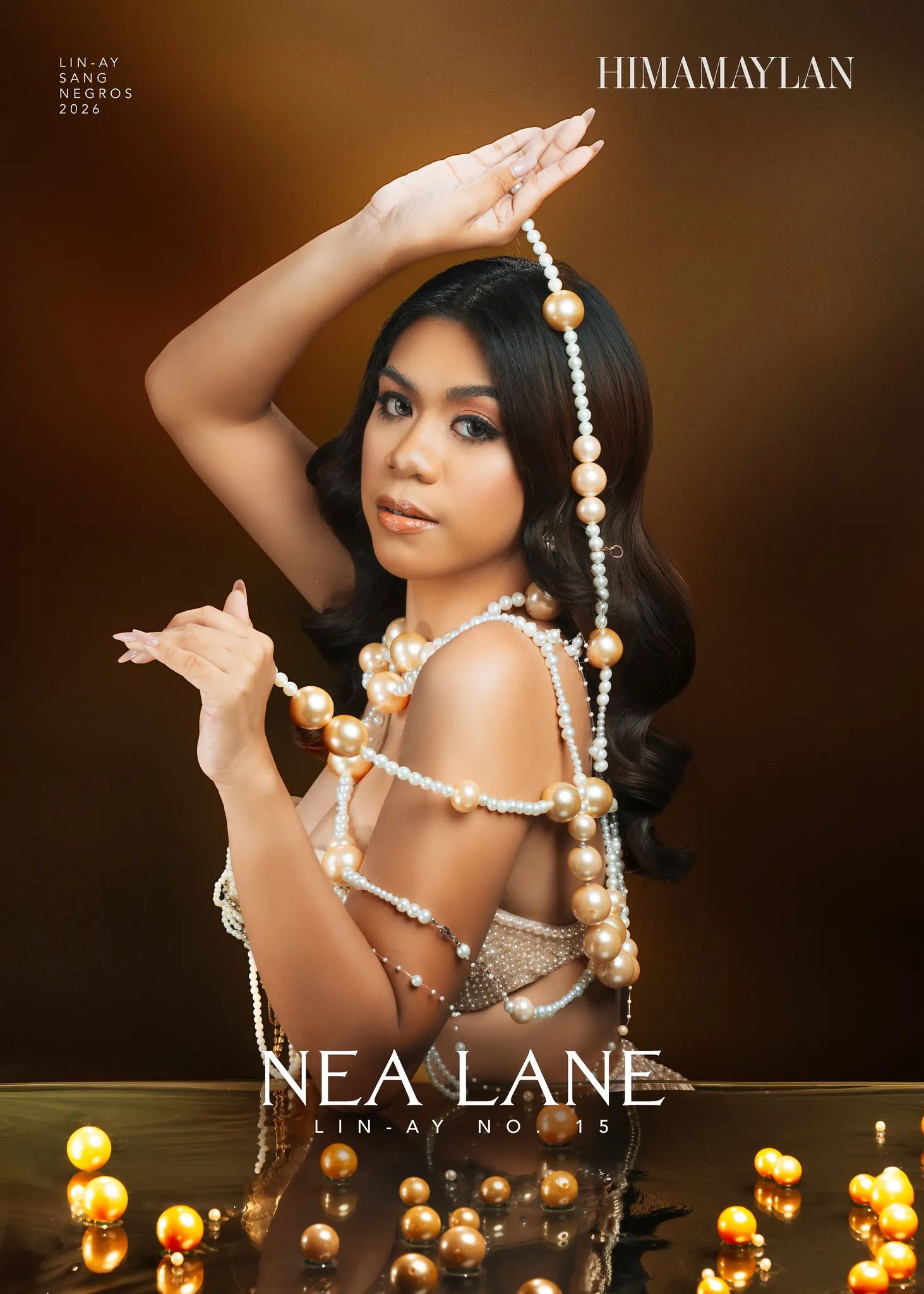 15 nea lane   himamaylan city