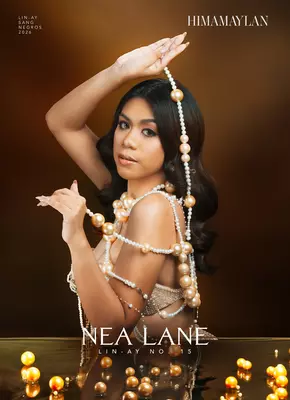 15 nea lane   himamaylan city