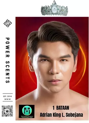 A1